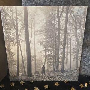 Serene Forest Art Print